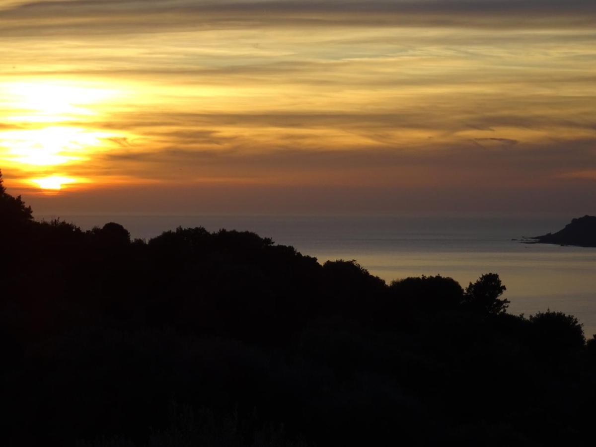 Apartamento Alba Rossa Magnifique Vue Mer, Piscine , Clim *