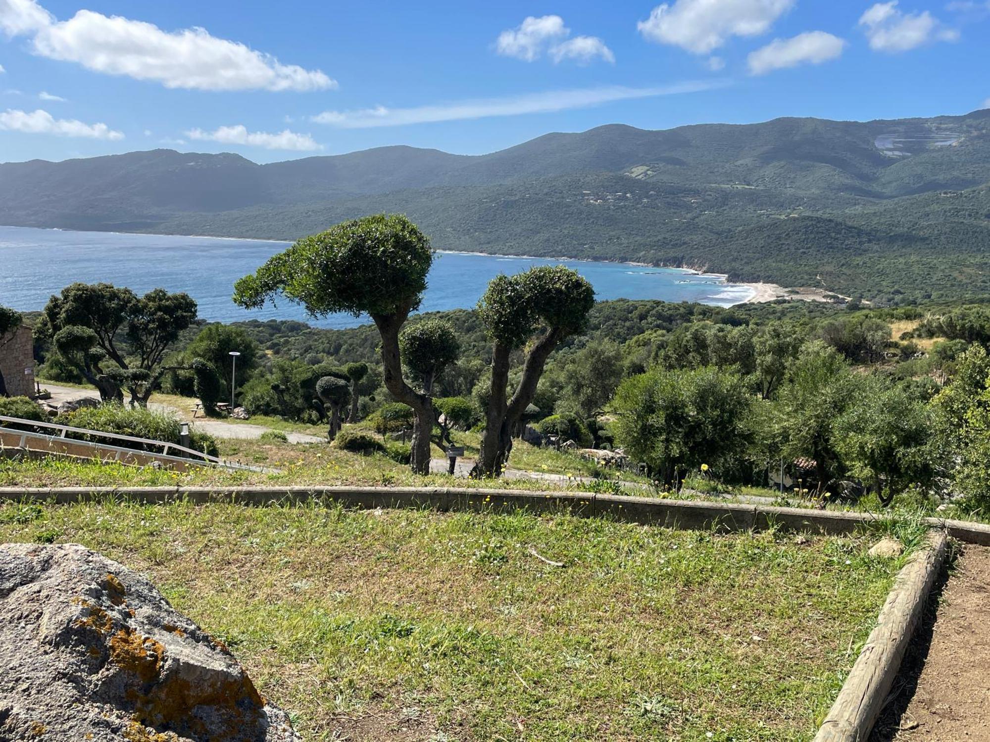 Alba Rossa Magnifique Vue Mer, Piscine , Clim